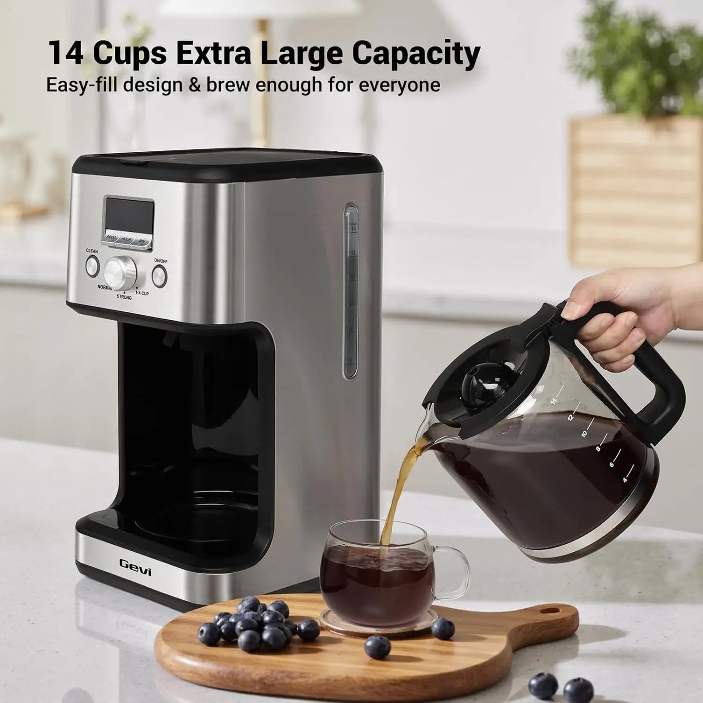 Morning Brew Pro